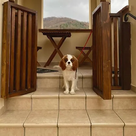 Domus Laetitiae Santa Croce *