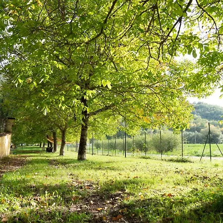 Farm stay Domus Laetitiae Santa Croce *